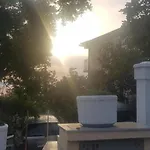 Mira *